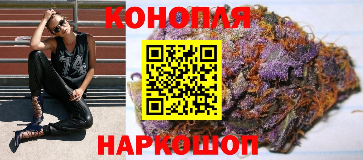 Конопля гибрид Озёрск